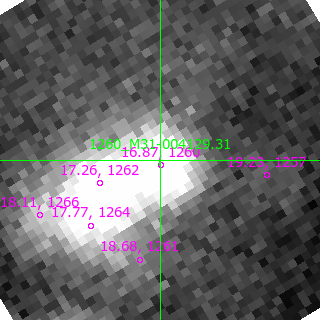 M31-004129.31 in filter V on MJD  59131.130