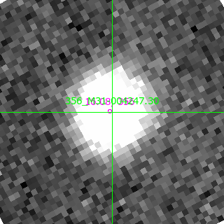 M31-004247.30 in filter R on MJD  59379.360