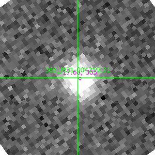 M31-004259.31 in filter B on MJD  58779.030