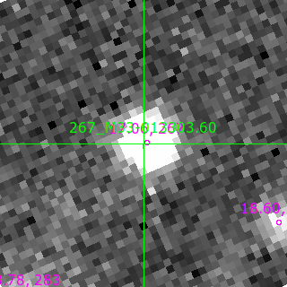 M33-013303.60 in filter V on MJD  60529.400