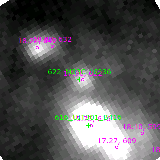 M33C-16236 in filter R on MJD  59084.310