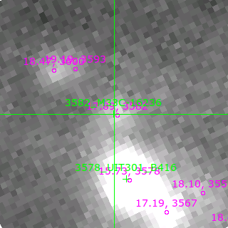 M33C-16236 in filter R on MJD  59903.200