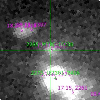 M33C-16236 in filter R on MJD  60556.270