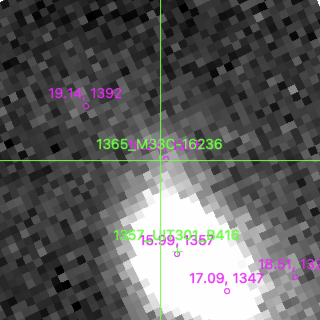M33C-16236 in filter V on MJD  59849.180