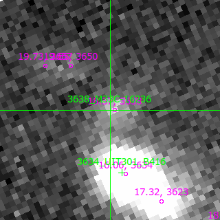 M33C-16236 in filter V on MJD  60205.160