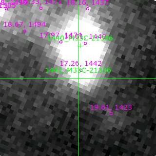 M33C-21336 in filter B on MJD  57964.370