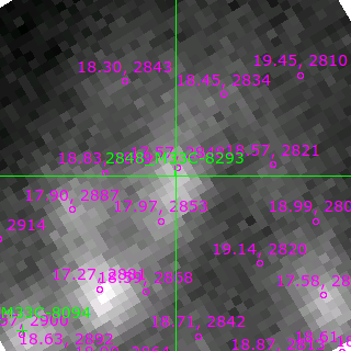 M33C-8293 in filter B on MJD  59082.320