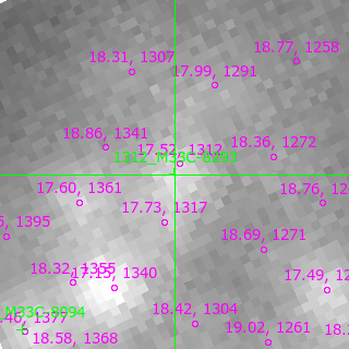 M33C-8293 in filter B on MJD  60262.130