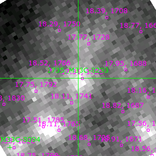 M33C-8293 in filter V on MJD  59161.080