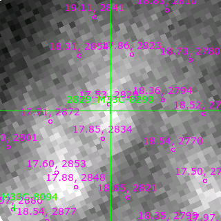 M33C-8293 in filter V on MJD  59854.230