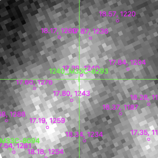 M33C-8293 in filter V on MJD  59879.130