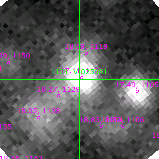 V-025981 in filter R on MJD  58696.410