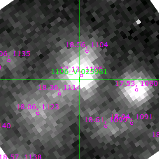 V-025981 in filter R on MJD  58784.140