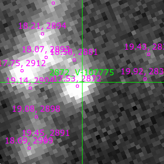 V-107775 in filter B on MJD  60556.260